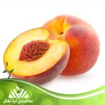 قیمت و خرید نهال هلو آلبرتا