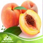 قیمت و خرید نهال هلو برایت استار