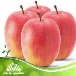 قیمت و خرید نهال سیب برابورن Brabourne apple seedling