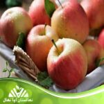 قیمت و خرید نهال سیب گلاب rose apple seedling