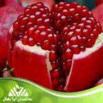 قیمت و خرید نهال انار بی دانه Seedless pomegranate seedlings