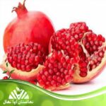 قیمت و خرید نهال انار گرانادا Granada pomegranate seedlings