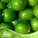 قیمت و خرید نهال گوجه سبز ترکیه Turkish green tomato seedlings