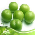 قیمت و خرید نهال گوجه سبز سعدی Saadi green tomato seedlings