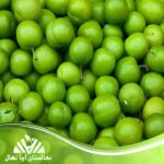 قیمت و خرید نهال گوجه سبز سلطانی Sultani green tomato seedlings