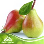 قیمت و خرید نهال گلابی اسپادانا Spadana pear seedlings