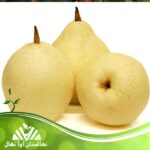 قیمت و خرید نهال گلابی شینگو Shingo pear seedlings