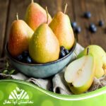 یمت و خرید نهال گلابی مشو Moshu pear seedlings