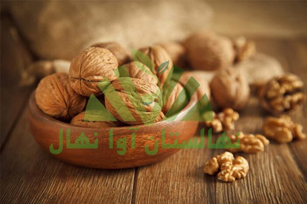 واص گردو برای مردان (Properties of walnuts for men)
