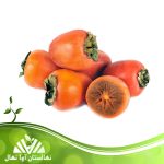 قیمت و خرید آنلاین نهال خرمالو انبه ای (Persimmon and mango seedlings)