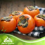نهال خرمالو یوکونو