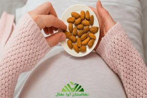 5 خاصیت بادام در بارداری